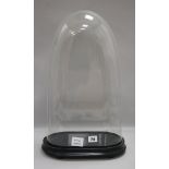 A glass dome and plinth height 51cm