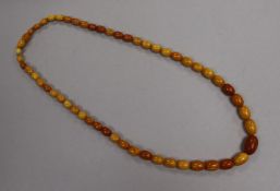 A single strand amber bead necklace, gross weight 25 grams, 56cm.