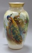 A Royal Worcester baluster vase painted with a peacock, signed by Walter Sedgley and heightened in