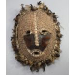 A Solomon Islands turtle shell mask, applied with shells and feathers, 41cm