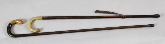 Two hardwood walking sticks with horn handles