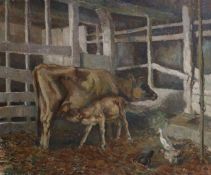 Beryl Trist, oil on canvas, cow and calves in a barn, signed, 50 x 60cm