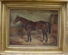 W. Wasdell Trickett, oil on canvas, portrait of the steeplechase winner 'Platonic', signed and dated