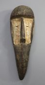 A carved wood bird beak mask, with iron studded and whitened decoration, 45cm