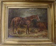 W. Wasdell Trickett, oil on canvas, portrait of the steeplechase winner 'Charlie May', signed and