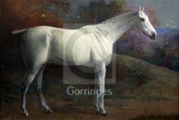Frank P. Mahony (1862-1916)oil on canvasPortrait of a grey horse 'Smoke'signed and dated 188613.5