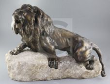 Thomas Cartier. A bronze figure of a roaring lion, standing upon a naturalistic rock plinth, width