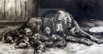 Herbert Thomas Dicksee (1862-1942)dry point etchingBloodhound with litter of pups in