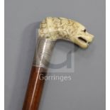 A good mid 19th century carved ivory handled cane, carved as a spaniel's head with collar over an