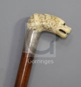 A good mid 19th century carved ivory handled cane, carved as a spaniel's head with collar over an