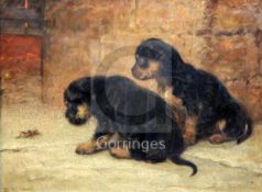 Briton Riviere (1840-1920)oil on canvas'Who Are You?' - two puppies and a grasshoppersigned,