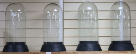 Four glass domes on ebonised plinths height 49cm