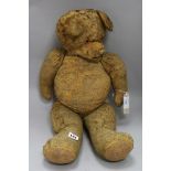 An early 20th century teddy bear