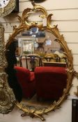 An oval carved giltwood oval wall mirror W.80cm