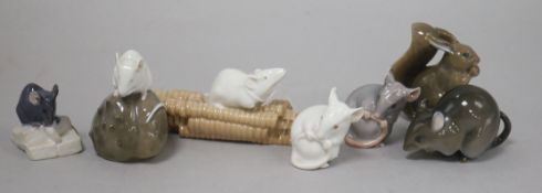 Four Copenhagen mice, two B&G mice and a Copenhagen squirrel