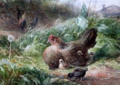 George Hickin (fl.1858-1877)watercolourChickens in a fieldsigned23 x 33cm