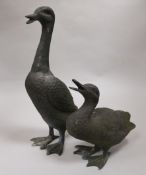 Two bronze geese. Tallest H.35cm.