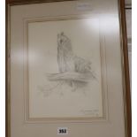 Ronald David Digby, pencil sketch, Long-eared owl 30.5 x 22.5cm