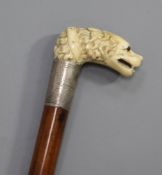 A good mid 19th century carved ivory handled cane, carved as a spaniel's head with collar over an