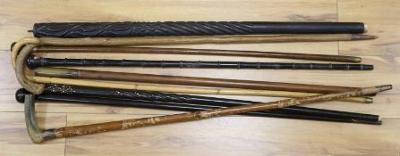 A quantity of walking sticks and canes