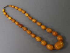 A single strand graduated amber bead necklace, gross weight 28 grams, 40cm.