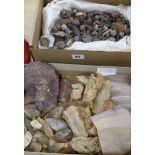 A quantity of mixed fossils from Eastern Saudi Arabia, Amazonian Amber and Neolithic Saudi Arabian