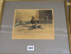 After N. Fielding, six hand tinted lithographs, cock fighting, publ. by Ackermann 1853, 18 x 21cm