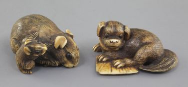 Two Japanese ivory netsuke, 19th century, the first Kyoto School of a rat and young with ebony