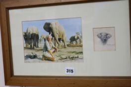 David Shepherd, pencil on paper, sketch of a bull elephant, mounted with a signed photo inscribed to