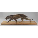 A French Art Deco bronze model of a prowling panther, on hardwood plinth, width 27.5in.