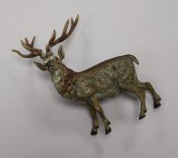 A cold painted bronze of a stag