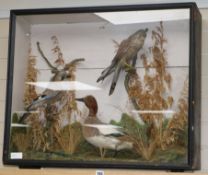 Three taxidermic birds, cased