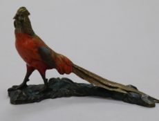 A cold painted bronze of a pheasant