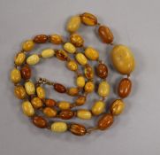 A single strand graduated oval amber bead necklace, gross weight 35 grams, 72cm.