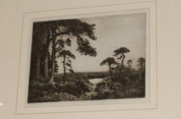 Alexander Turnbull, etching, 'Early Morn', signed in pencil, 7 x 9.5in.