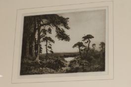 Alexander Turnbull, etching, 'Early Morn', signed in pencil, 7 x 9.5in.