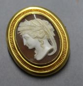 A late Victorian gold mounted carved shell cameo brooch 1.5in.