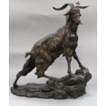 After J P Mene. A bronze of a mountain goat height 42cm