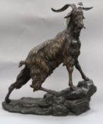 After J P Mene. A bronze of a mountain goat height 42cm