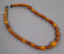 An amber and amberoid bead necklace 50cm, gross 24 grams