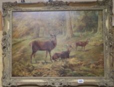 George James Rankin (1864-1937), Red Deer Family, oil, 38cm x 56cm