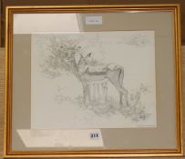 William S. De Beer, pencil drawing, antelope or gazelle in a landscape, signed, 30 x 37cm