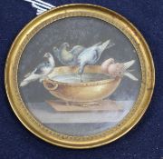 A 19th century Pliny Doves miniature oil on ivory, 2.5in.