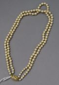 A double strand cultured pearl necklace, with cultured pearl yellow metal clasp, 38cm.