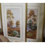 Lester James, pair of watercolours, Highland landscapes, signed, 39 x 19cm