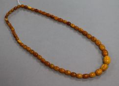 A single strand graduated amber bead necklace, gross weight 46 rams, 70cm.