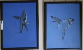 Amanda Webster, pair of acrylics on board, 'Blue Shark', TAG label verso, 30 x 40cm