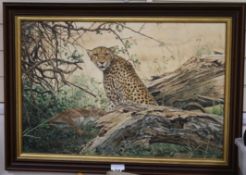 William S. De Beer, oil on canvas, Cheetah with a gazelle, signed, 50 x 75cm