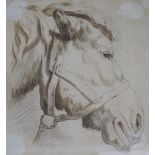 English School, c.1820pen, brown ink and washStudy of a horses head17 x 15cm