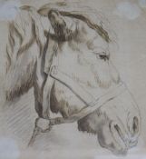 English School, c.1820pen, brown ink and washStudy of a horses head17 x 15cm